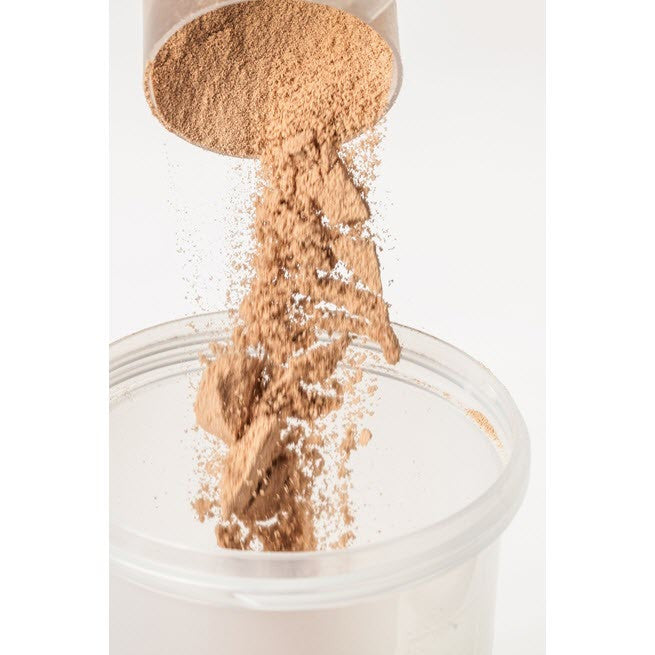 Organic Prebiotic Sprouted Plant Protein Chocolate