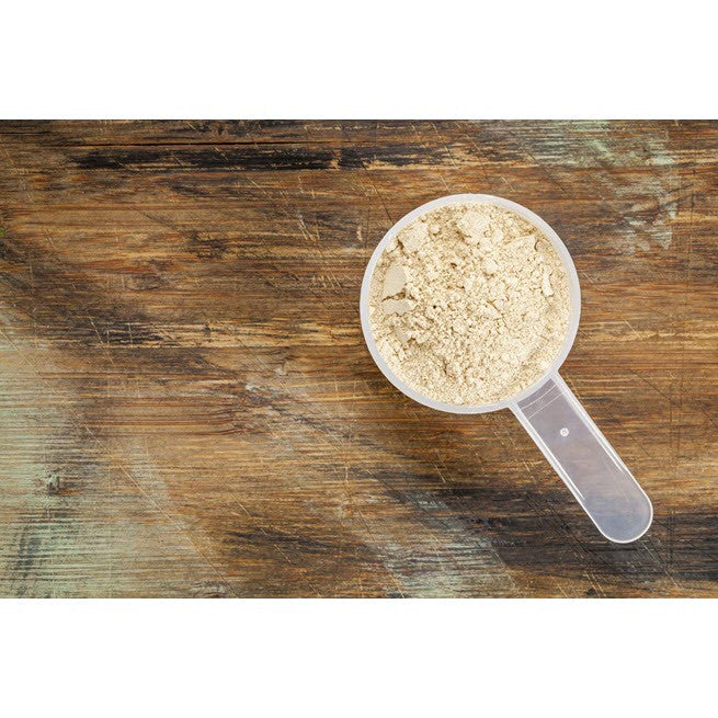 Organic Fermented Probiotic Plant Protein Meal Vanilla